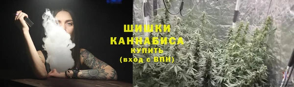 эйфоретик Осинники