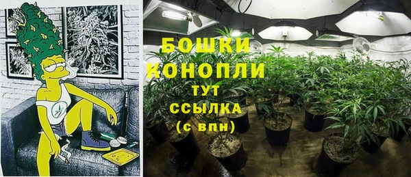 СК Осташков
